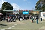 東京恩賜上野動物園　画像