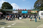 東京恩賜上野動物園 画像